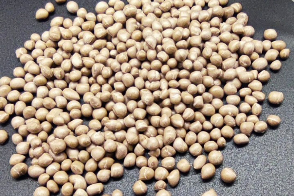 环保可降解餐具开始正式“换装”